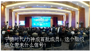 寧德時(shí)代/力神成首批成員！電動(dòng)航空標(biāo)委會(huì)成立帶來(lái)什么信號(hào)？
