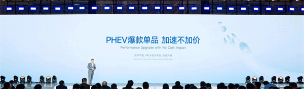 獨家｜對話楊紅新：蜂巢能源2024年如何“破卷”？